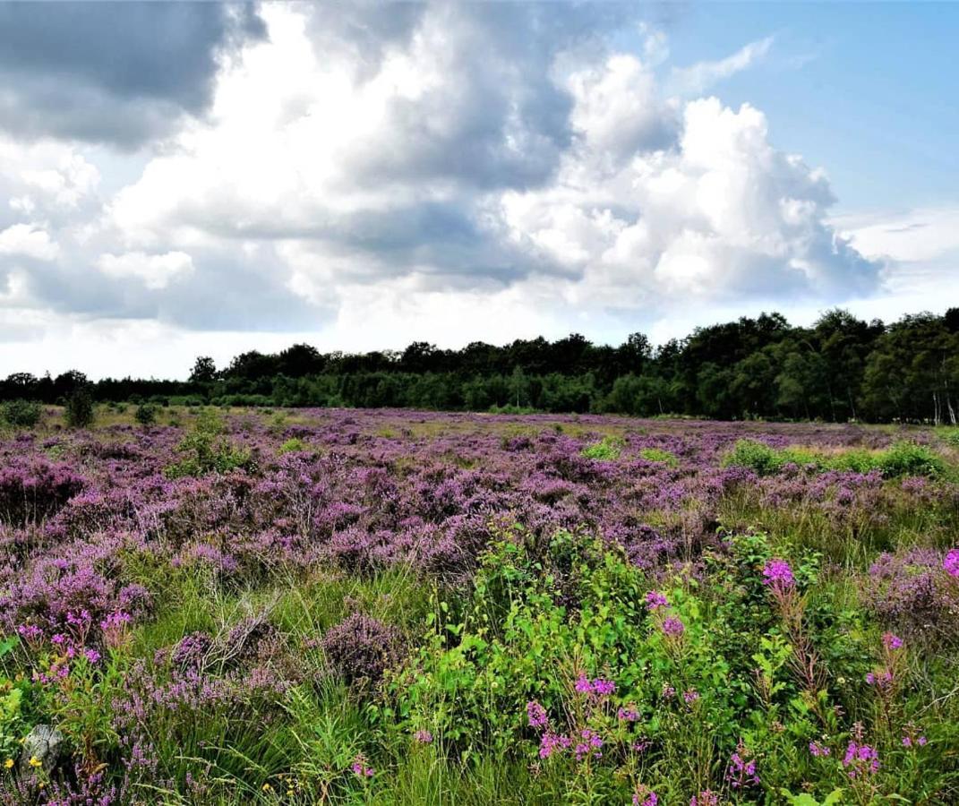 B&B De Panheide Hooghalen Exteriér fotografie