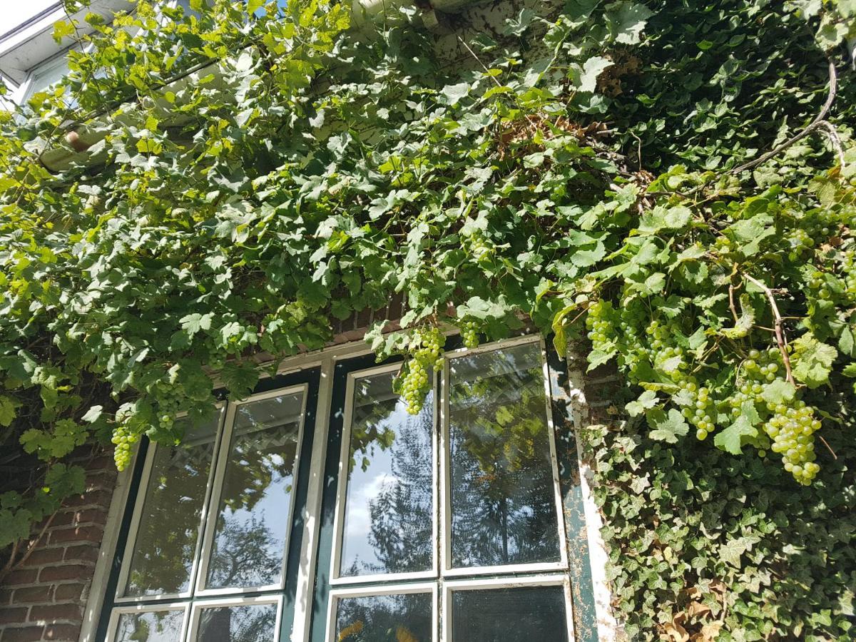 B&B De Panheide Hooghalen Exteriér fotografie