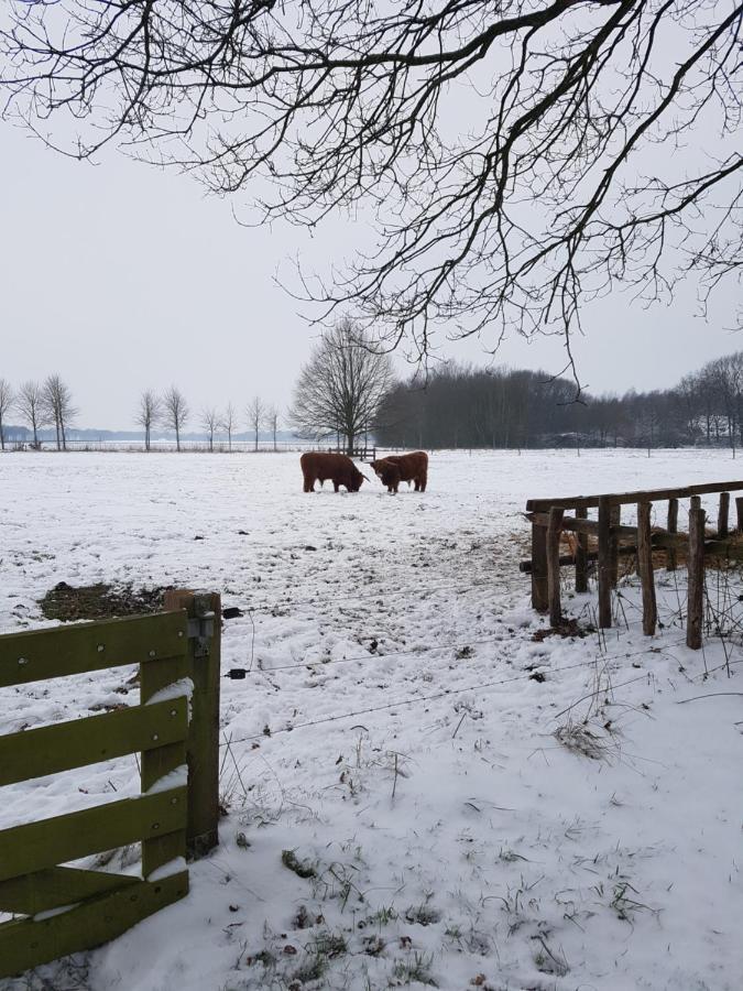 B&B De Panheide Hooghalen Exteriér fotografie